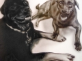 Two Dogs