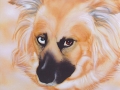 Holly