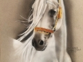 The Gaze