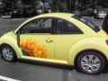 Naomi's Sunflower Car
