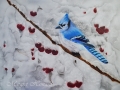 Red, White and Blue Winter