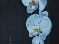 Cascade-of-Blessings Painting