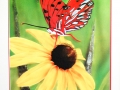 Gulf Butterfly on Cone Flower with Gold Guilding
