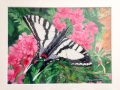 Zebra Butterfly