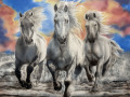 Running-Free-Painting-rs