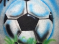 Soccer Ball in Grass