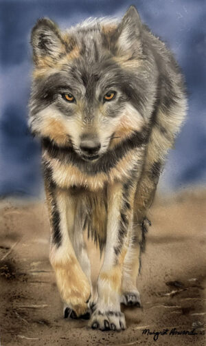 Alpha the Wolf