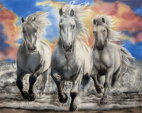 Running Free